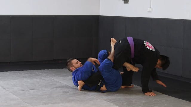 GRIPPING THE UPPER BODY - SPIDER GUAR...