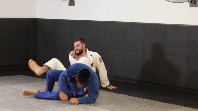 LAPEL GUARD SYSTEMS - 2 WORM GUARD - ...