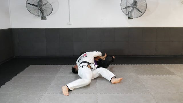 BEATING THE LASSO - KNEE SLICE LONG S...