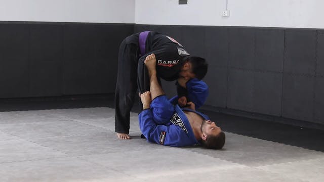 GRIPPING THE UPPER BODY - SPIDER GUAR...