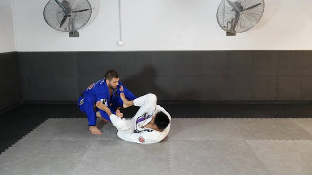 BEATING THE SPIDER - LEO VIERA WRIST ...
