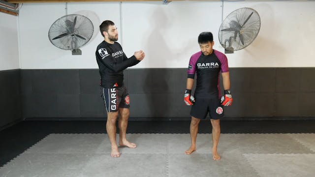 SELF-DEFENCE BASIC COMBATIVES - BRIDI...