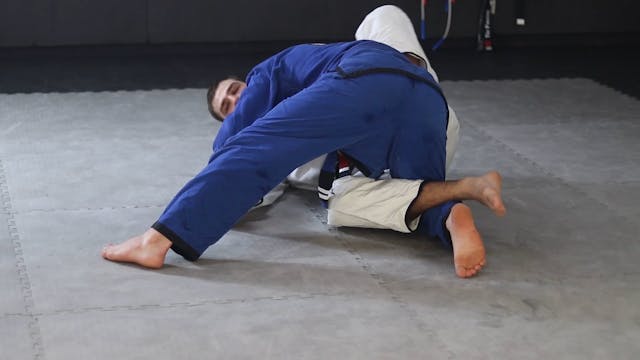 Z HALF GUARD - BUTTERFLY SWEEP - SWEEP