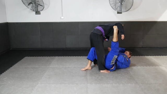 GRIPPING THE UPPER BODY - SPIDER GUAR...