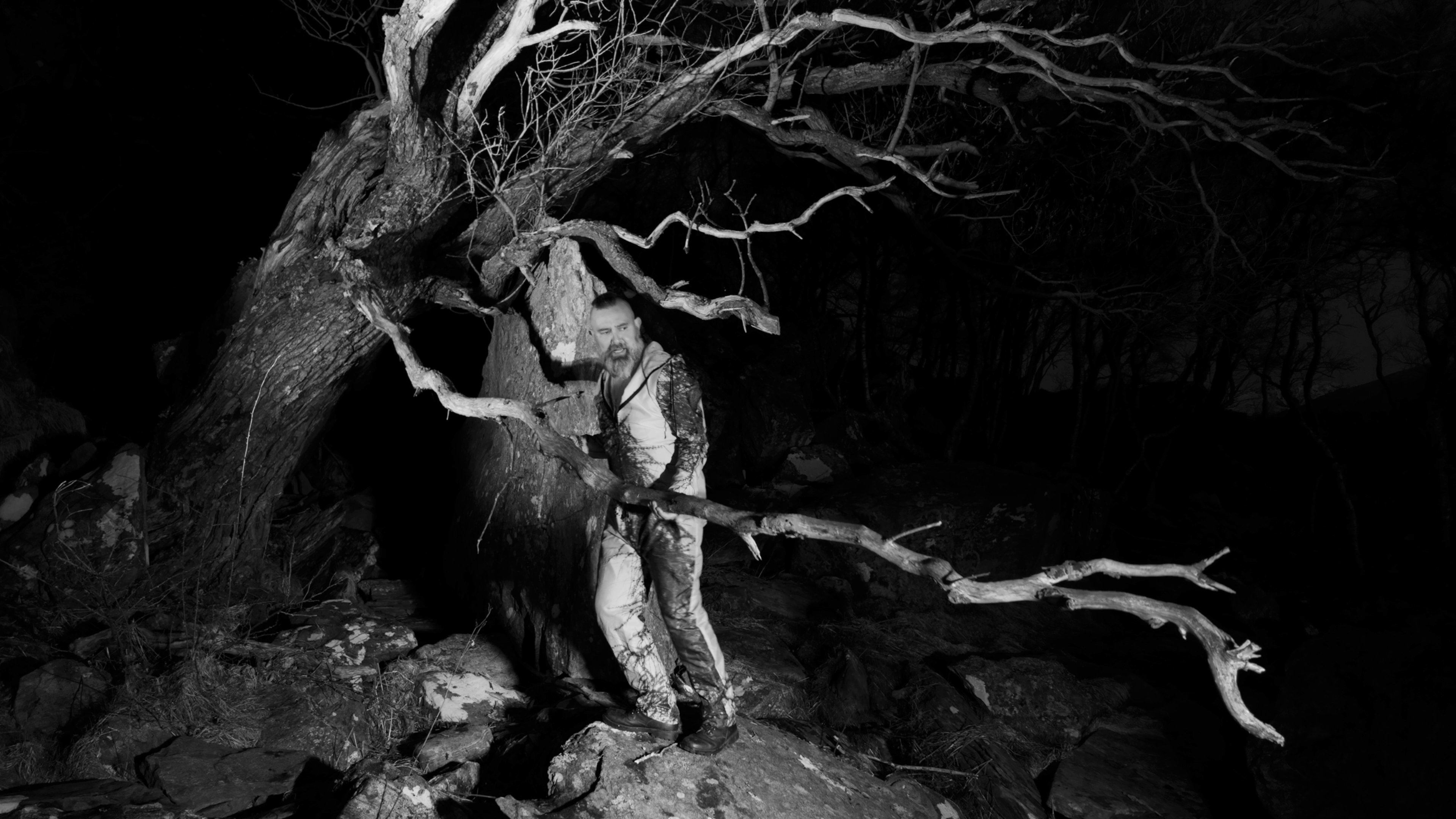 The Arthemist | Braking branch | 240405