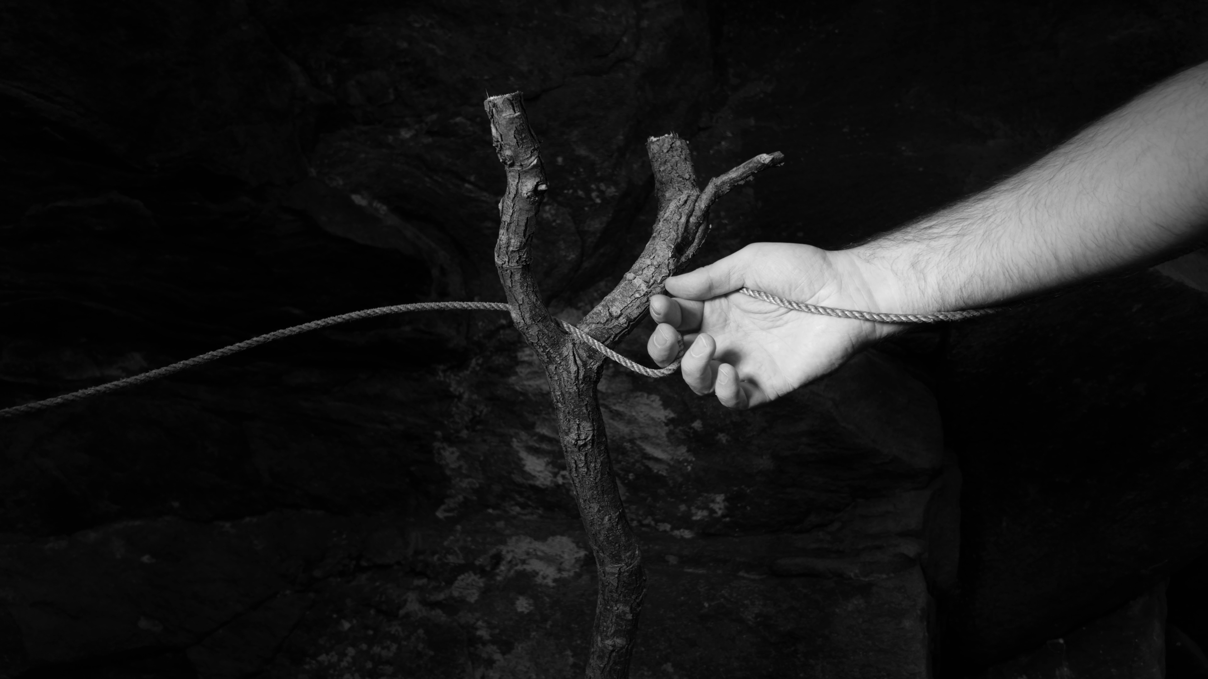 The Arthemist | Two Trees and rope | 240307