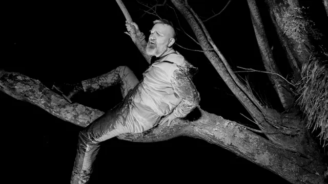 The Arthemist | Branch | 250213