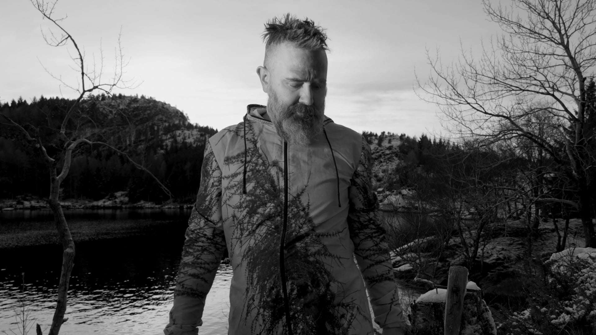 The Arthemist | Bush | 241121