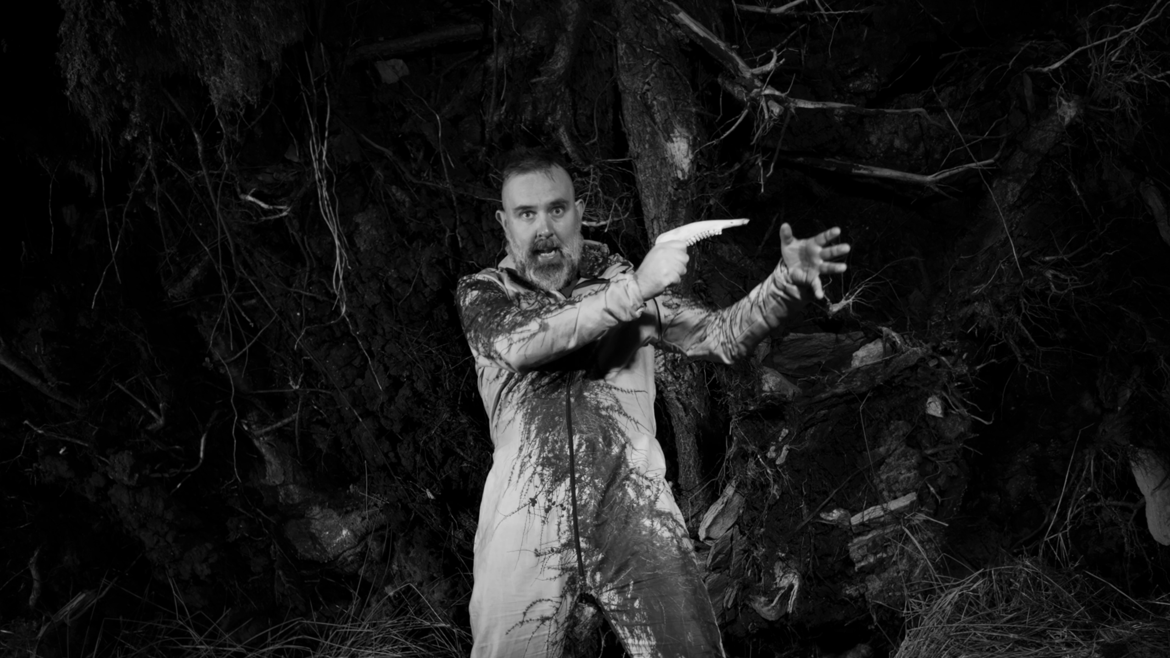 The Arthemist | Fallen Tree | 250213 