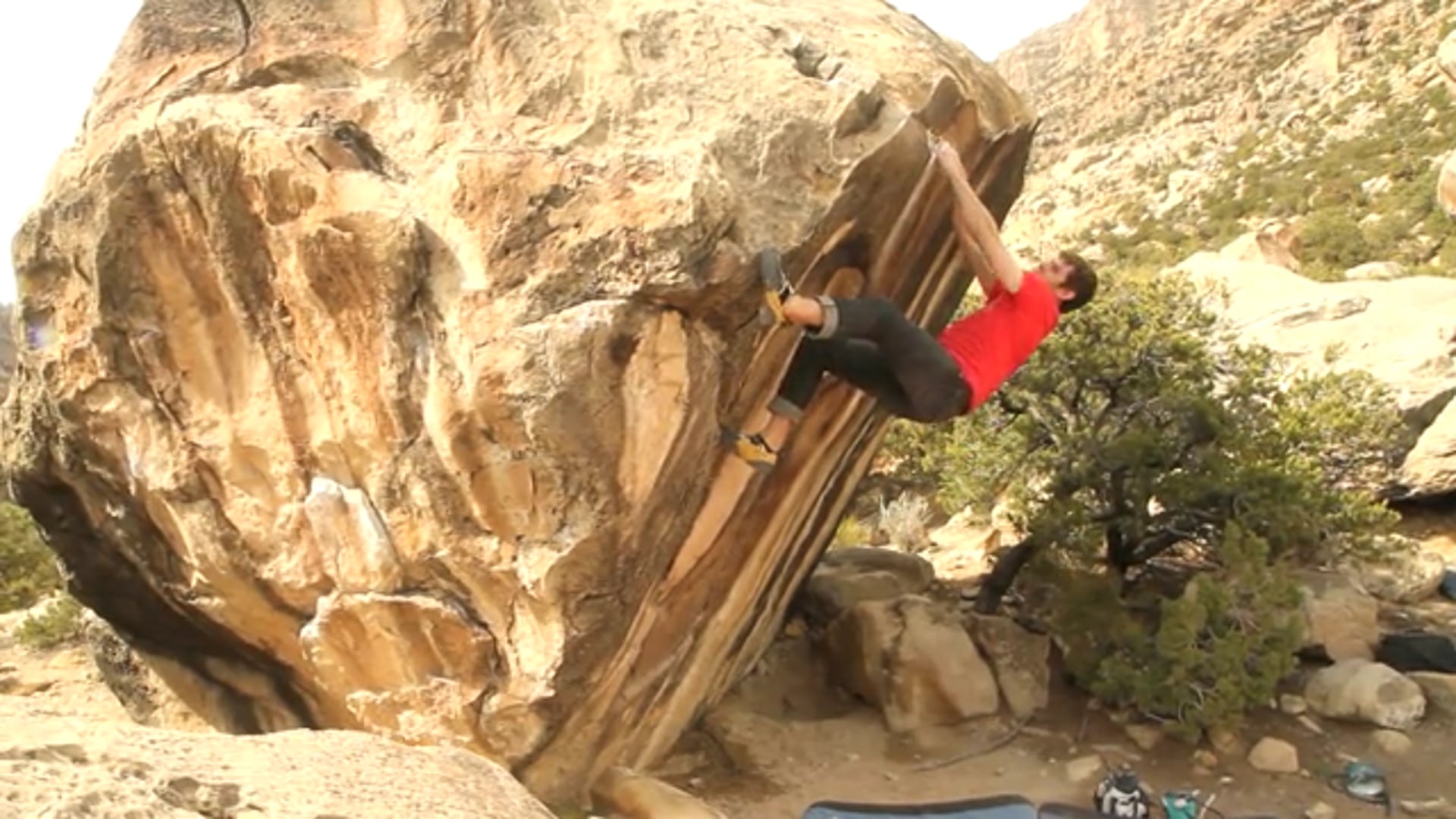 City Slickers (Part II)