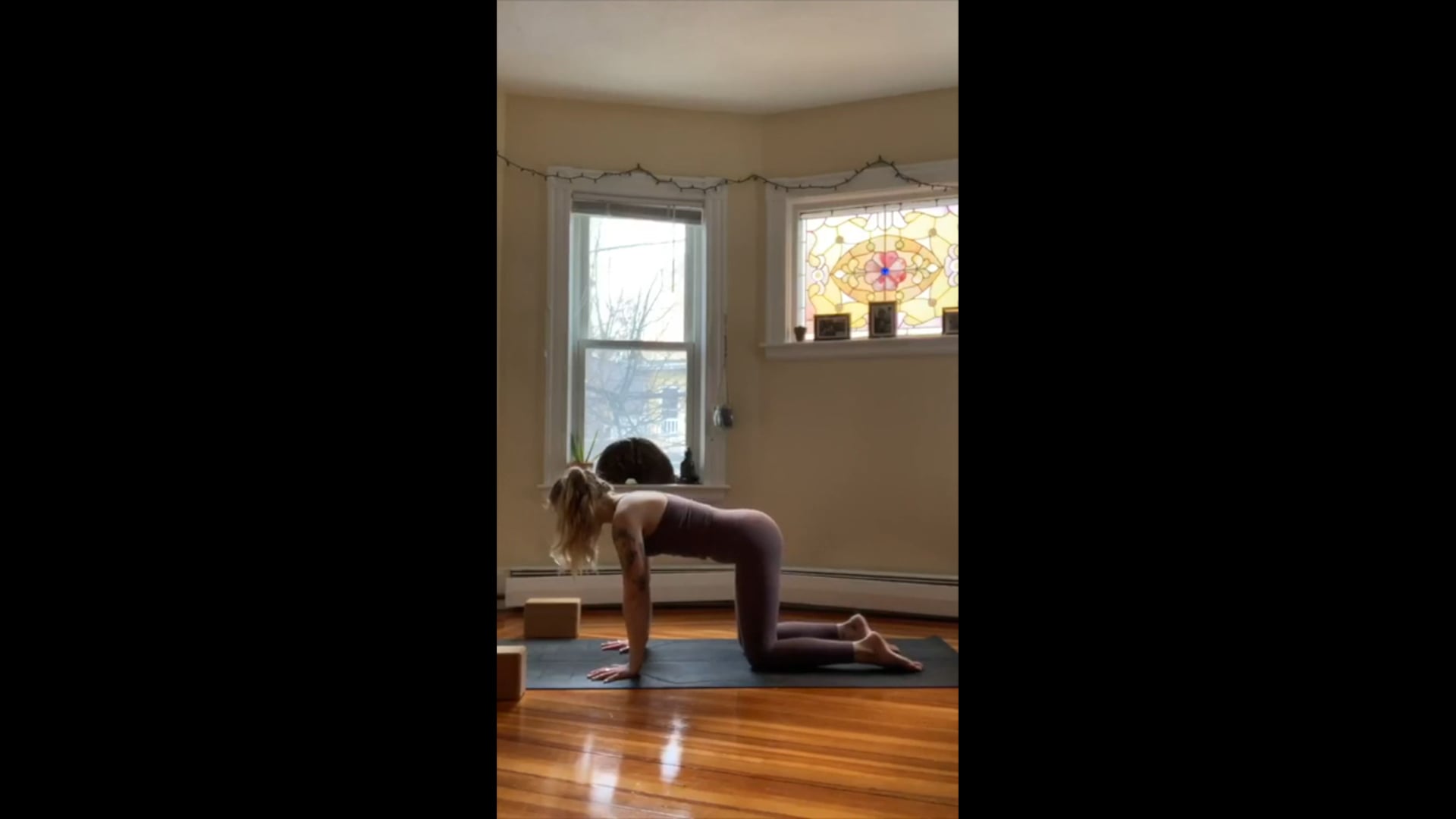 Yoga for Climbers with Sophie Lyons