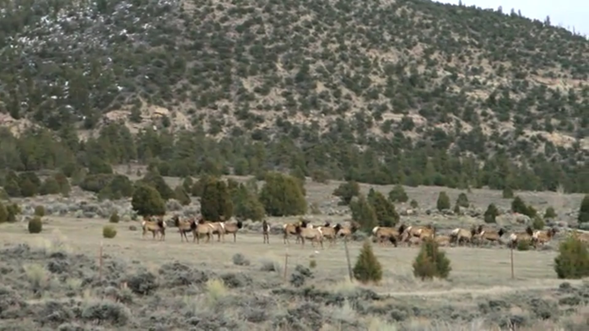 City Slickers (Part I)