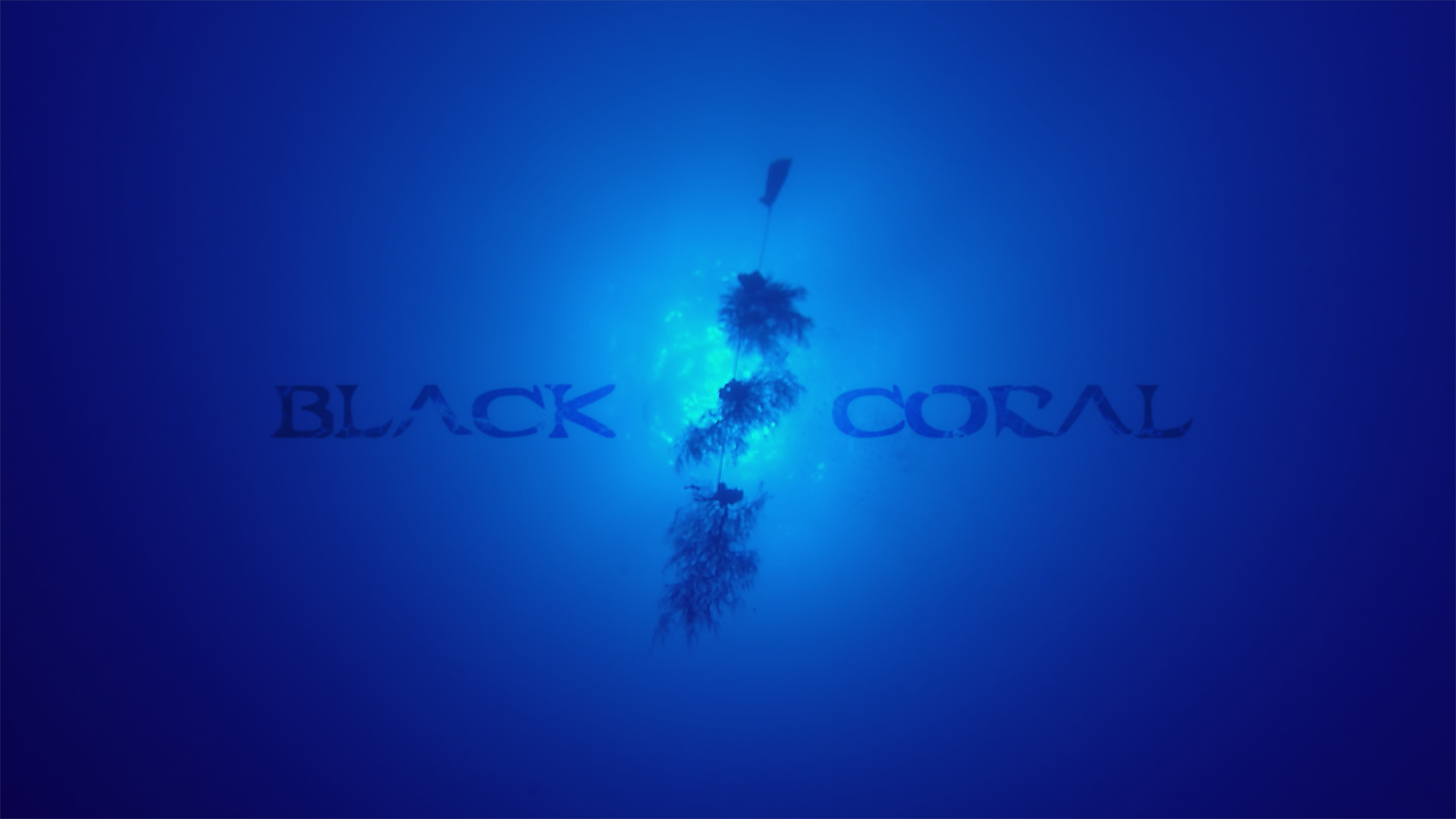 BLACK CORAL