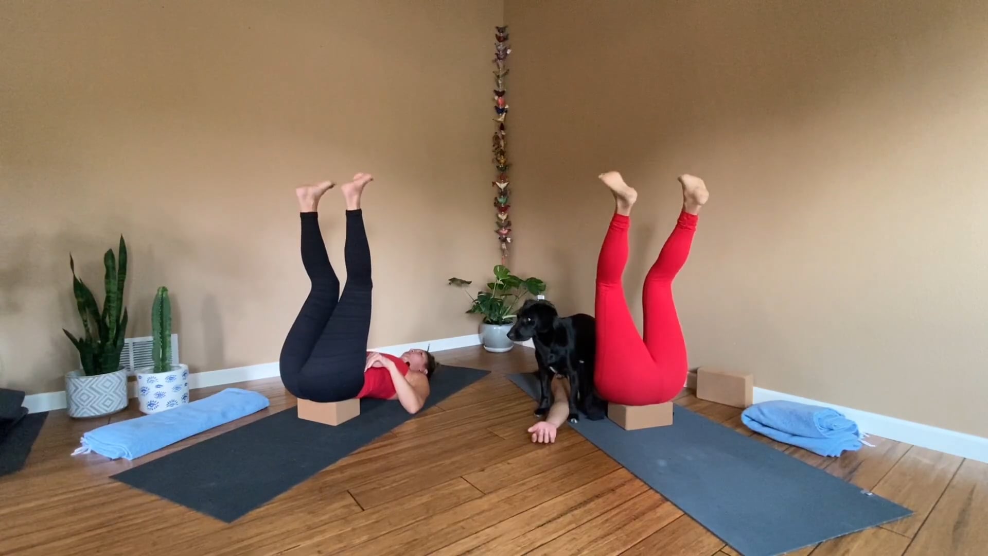 Power Practice with Krystal and Carisa