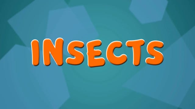 Insects