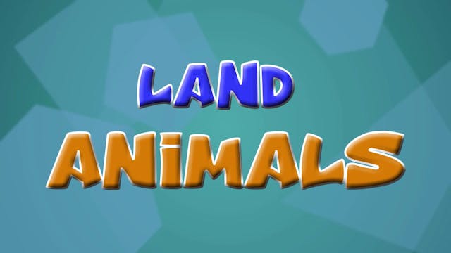 Land Animals