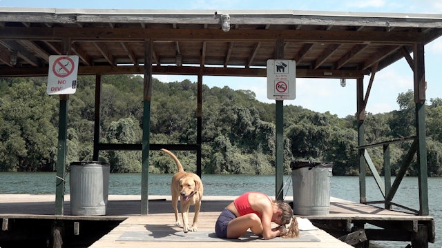 Dock, Dogs and Yoga