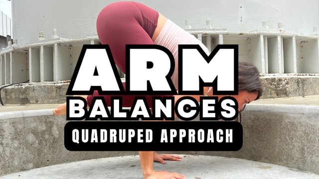 A Quadruped Approach to Arm Balances