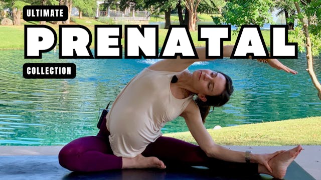 Prenatal Yoga Collection