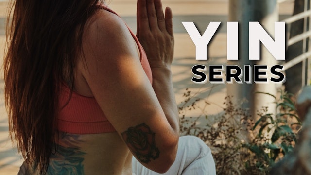 Feature of the Month: Yin Series