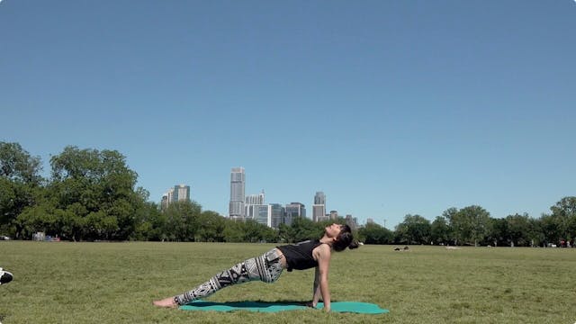 Forearm Stand Prep Vol I