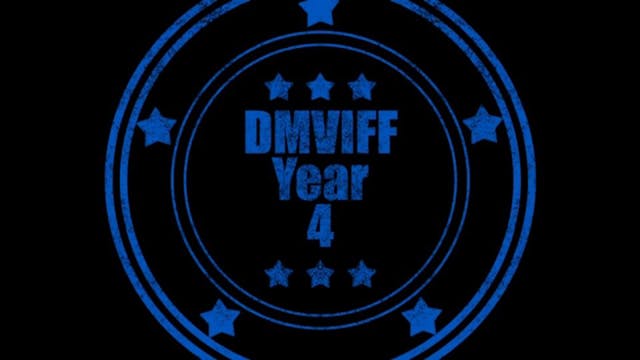 DMVIFF 2013 Call For Submissions