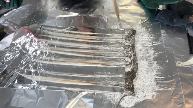 Root Melt + Lowlights Part 3