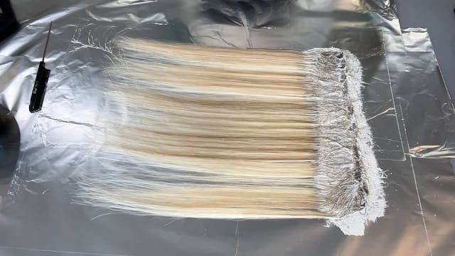 Lowlights with root smudge
