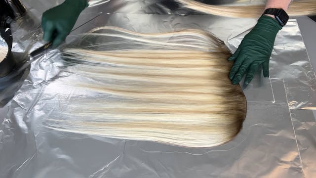 Root Melt + Lowlights