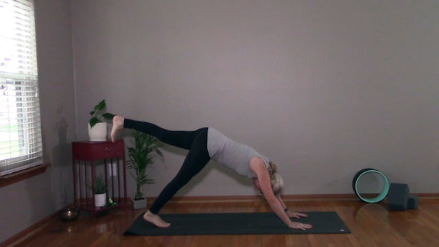 Energize (follow the yogi)