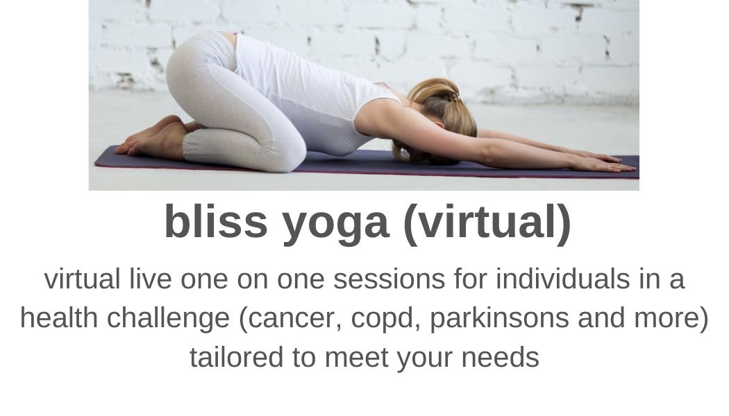 virtual live one on one sessions