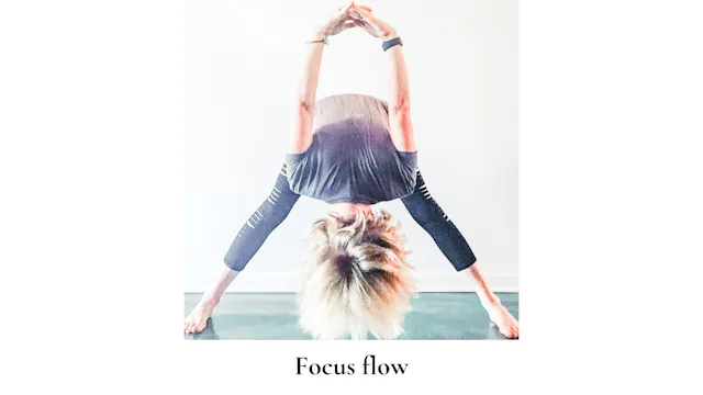 Focused Flows