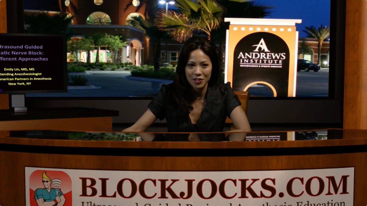 Three Approaches to Ultrasound Guided Sciatic Nerve Blocks