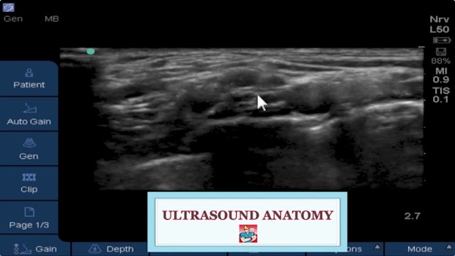 Supraclavicular Virtual Ultrasound Workshop