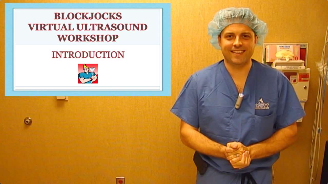 Virtual Ultrasound Workshop- Introduction