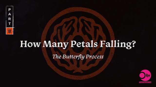 Part 2: How Many Petals Falling?