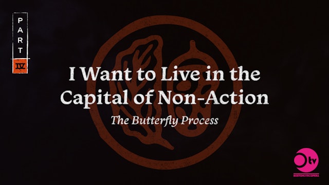 Part 4: I Want to Live in the Capital of Non-Action