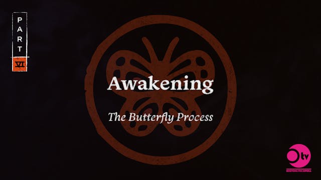 Part 6: Awakening
