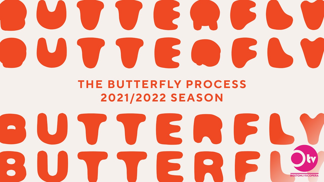 The Butterfly Process: Discussion Series