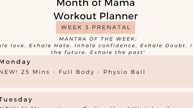 Week 3 - Weekly Workout Planner - Prenatal.png