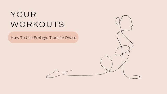 How To Use The Embryo Transfer Phase