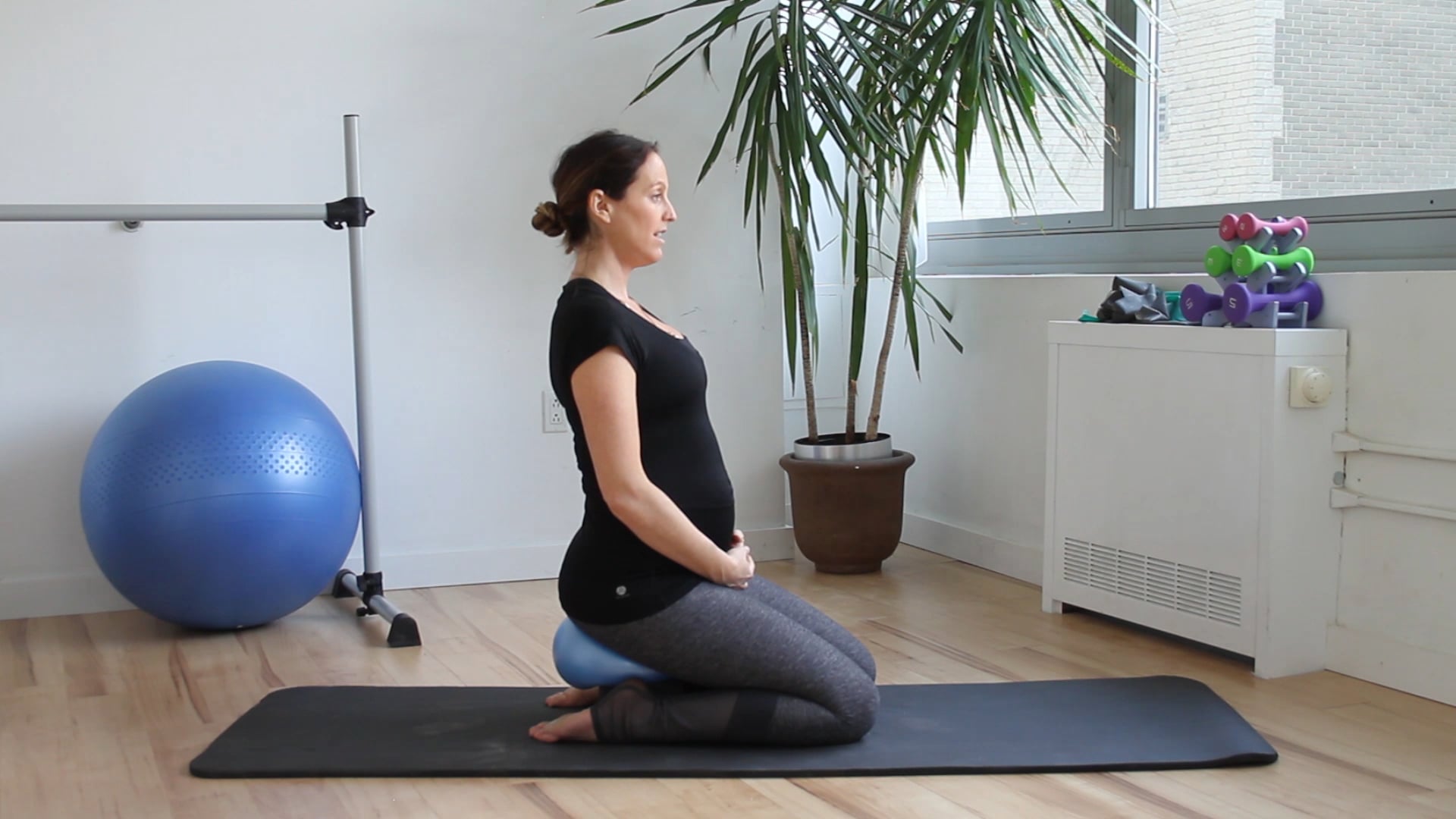 5 Mins - Pelvic Floor Series - Small Ball & Block (Prenatal)