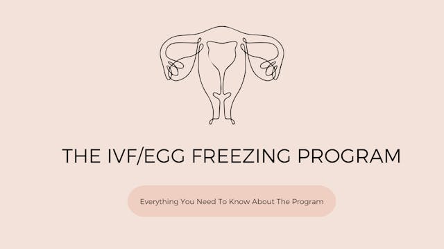 Everything You Need To Know About The IVF/Egg Freezing Program