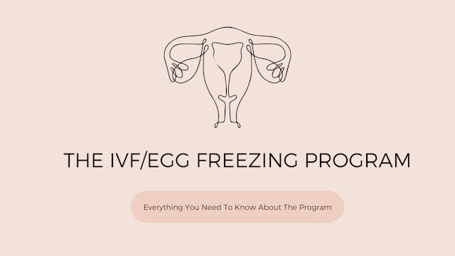 Everything You Need To Know About The...