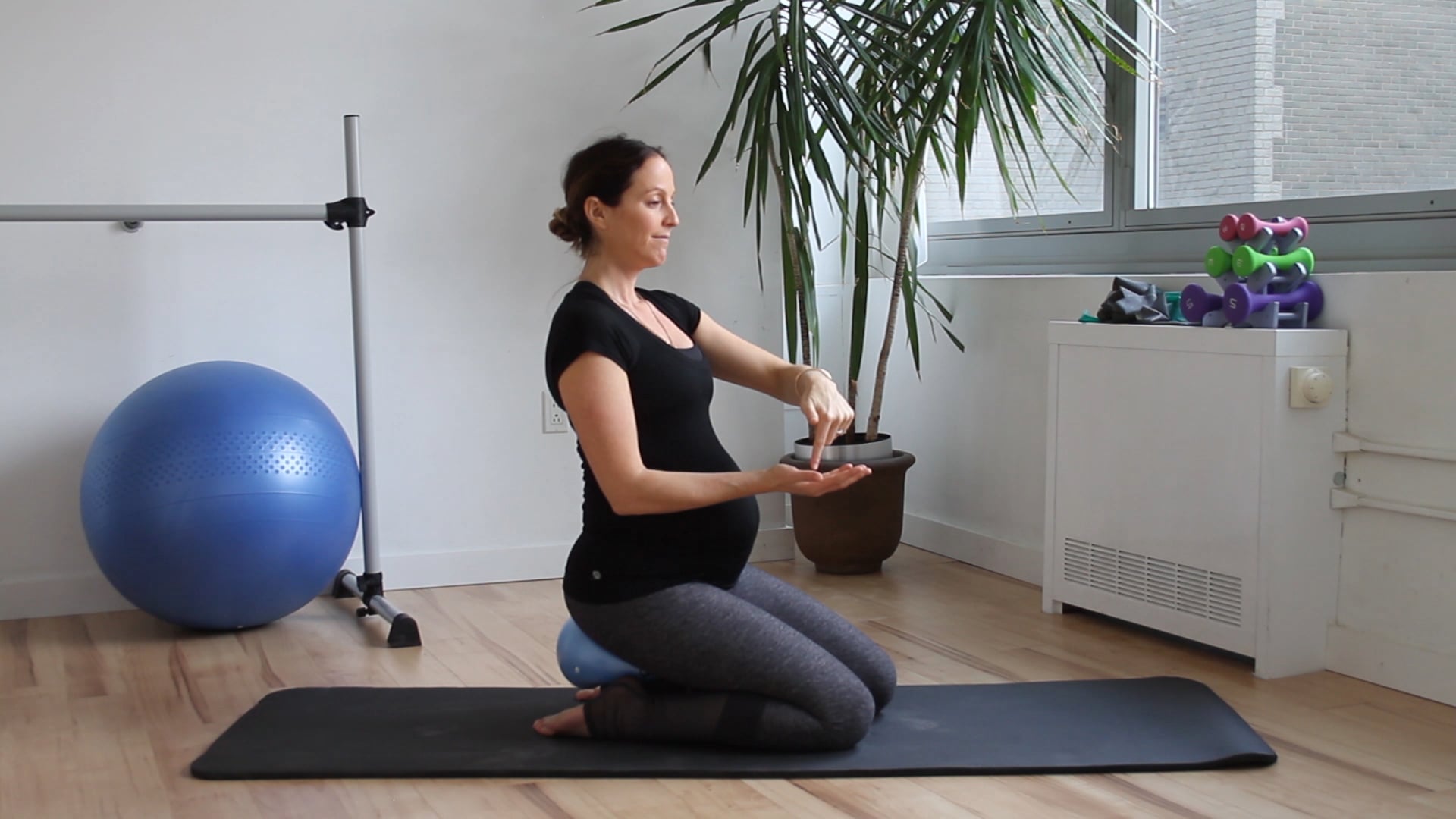 4 Mins - Pelvic Floor Series - Small Ball & Block (Prenatal)