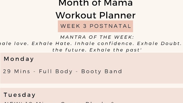 Week 3 - Weekly Workout Planner - Postnatal.jpg