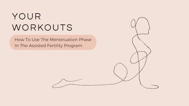 How To Use The Menstruation Phase In Assisted Fertility