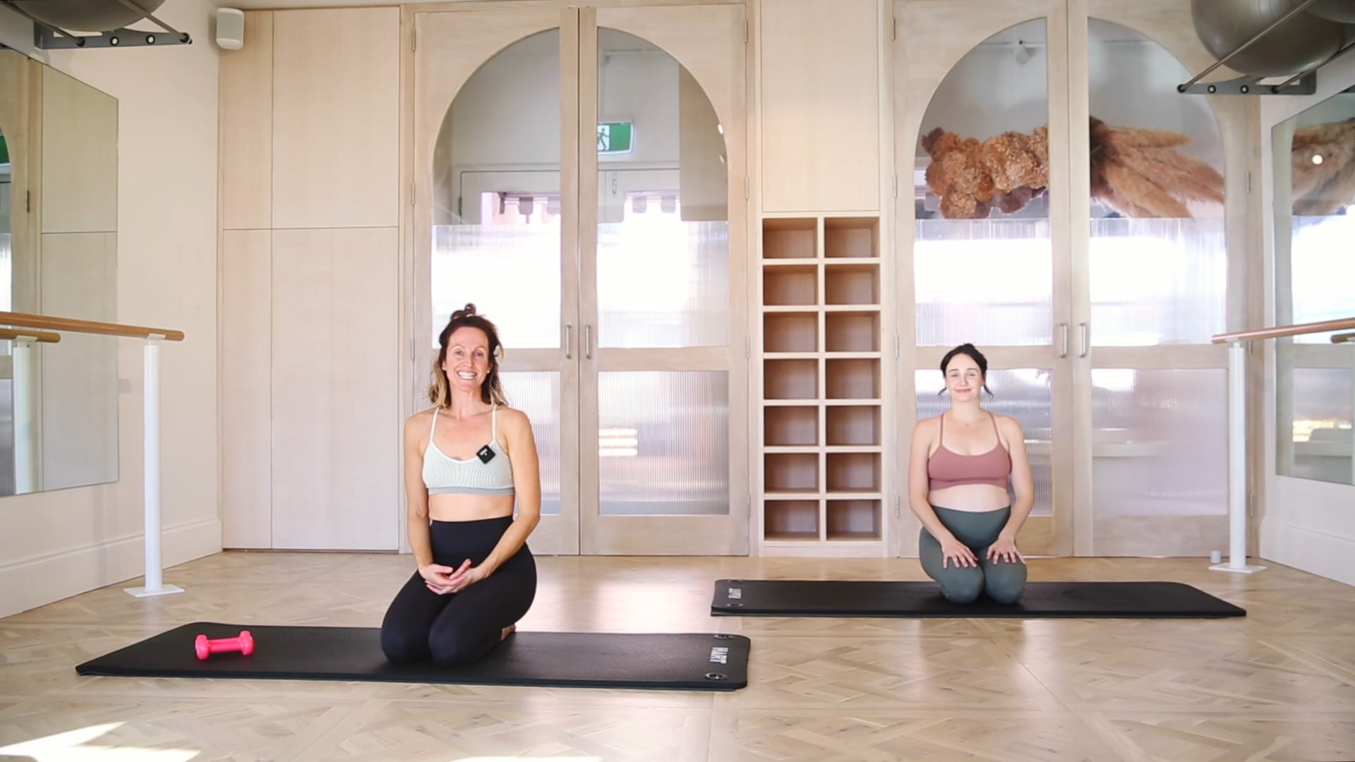 12 Mins - Arms & Back - Hand weights (Prenatal)