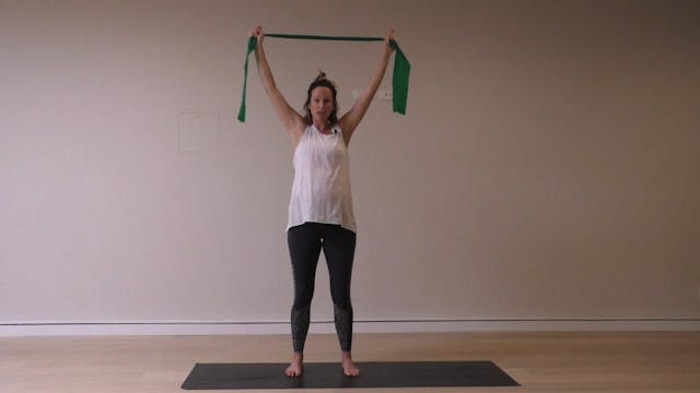 12 Mins - Arms & Back - Theraband (Pr...