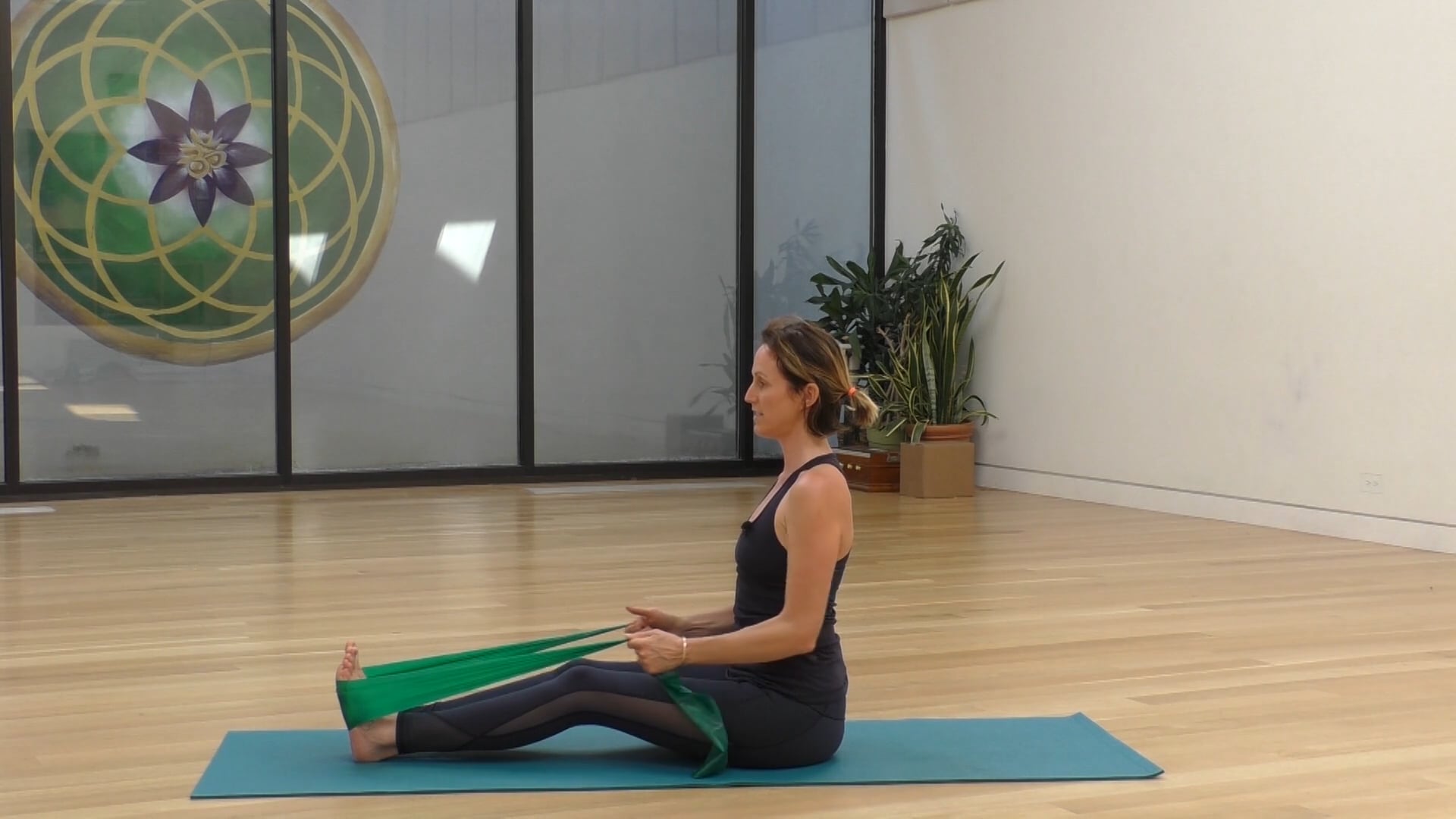 8 Mins - Arms - Theraband (Postnatal)